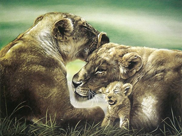 Image Lions Big cats Animals Painting Art 600x450 lion animal