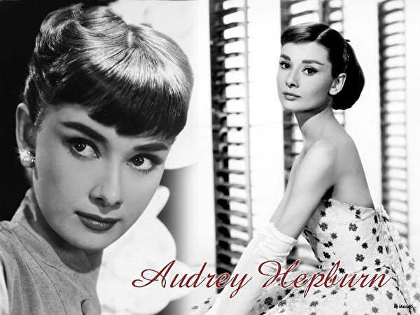 600x450 Audrey Hepburn Celebridade