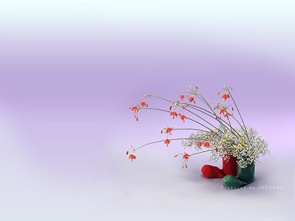 Фото Цветы Икебана 600x450 цветок