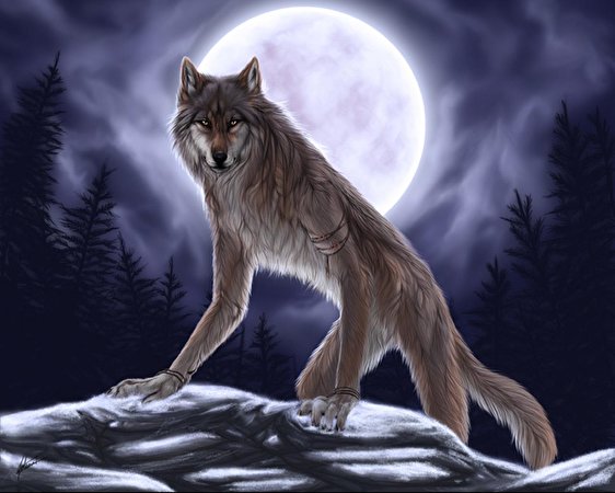 Bilder von Fantasy Werwolf Magische Tiere 562x450