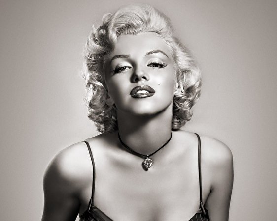 562x450 Marilyn Monroe Celebridade