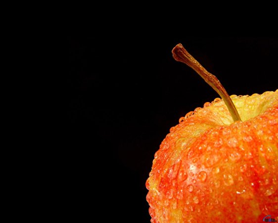 Bakgrundsbilder Äpplen Mat Frukt 562x450