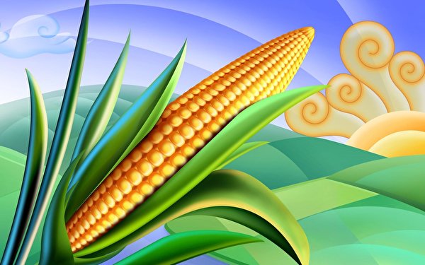 600x375 Légume Le maïs aliments, blé d’Inde Nourriture