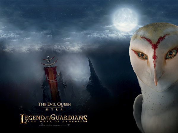 Achtergronden Legend of the Guardians: The Owls of Ga'Hoole Cartoons 600x450