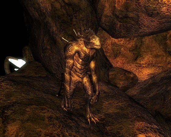 zdjęcia The Elder Scrolls The Elder Scrolls IV: Oblivion gra wideo komputerowa 562x450 Gry wideo