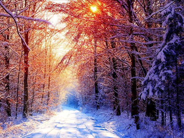 Wallpaper Winter Nature Seasons 600x450