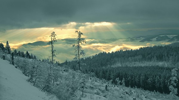 Achtergrond Stralen van licht Winter Natuur Sneeuw Hemelgewelf Seizoen 600x337 Lichtstralen