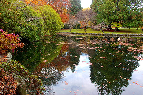 Foto Canada Hatley Park Victoria Natuur park 600x400 Parken