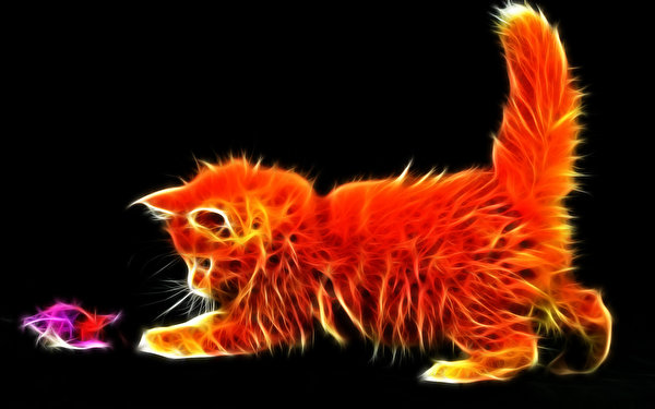 Afbeeldingen Kittens Katten 3D afbeelding Dieren 600x375 katje kat poes kater 3D graphics 3D afbeeldingen een dier