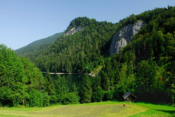 Обои для рабочего стола Австрия Salzkammergut гора Природа Леса 600x401 Горы лес