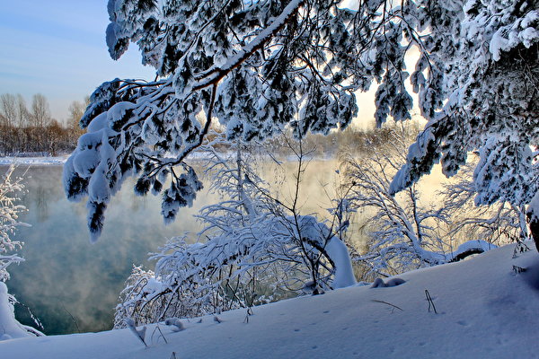 Afbeeldingen Winter Natuur Sneeuw Rivieren Boomtakken Seizoen 600x400 rivier