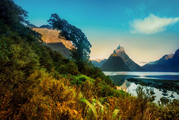 Foto Nuova Zelanda Milford Natura montagna Paesaggio Cespugli 600x402 Montagne Arbusti