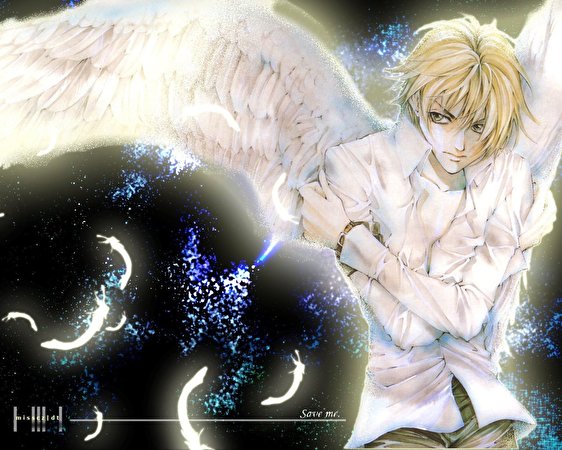 Bakgrunnsbilder til skrivebordet Angel Sanctuary Anime 562x450