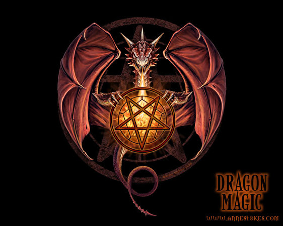 562x450 Dragon Magic jeu vidéo Jeux