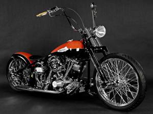 Fondos de escritorio Custom Harley-Davidson motocicletas