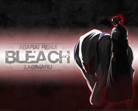 Fonds d'écran Bleach: Memories of Nobody Anime