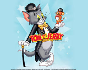 Fonds d'écran Tom and Jerry