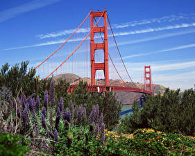 Fonds d'écran Pont USA San Francisco Californie  Villes