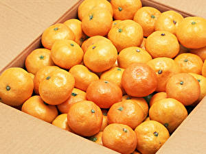 Bakgrundsbilder på skrivbordet Frukt Citrusfrukter Mandariner Mat