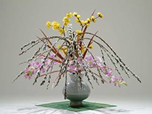 Fonds d'écran Ikebana fleur