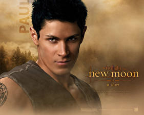 Bakgrundsbilder på skrivbordet The Twilight Saga The Twilight Saga: New Moon film
