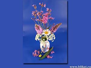 Sfondi desktop Bouquet Ikebana