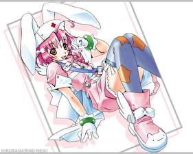 Bakgrunnsbilder Bunnygirl Kaninører Anime