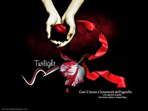 Bakgrundsbilder på skrivbordet The Twilight Saga Twilight Filmer