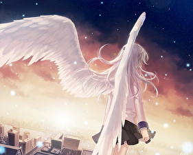 Fonds d'écran Angel Beats! Anime