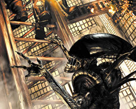 Sfondi desktop Predator Alien Predator Videogiochi
