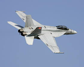 Picture Airplane Fighter Airplane Boeing Boeing-F-A-18F-Super-Hornet Aviation