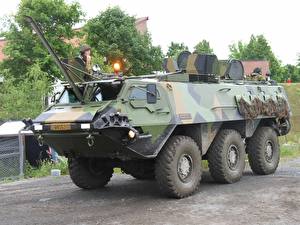 Photo Military vehicle Armoured personnel carrier Army