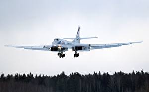 Sfondi desktop Aerei Tupolev Tu-160 Volo