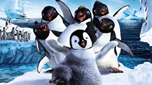 Hintergrundbilder Happy Feet Pinguine