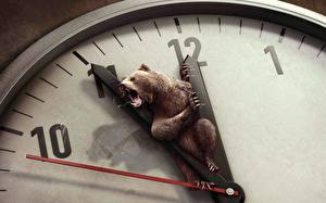 Papel de Parede Desktop Criativos Mostrador de relógio   Relógio Ursos