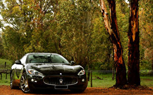 Tapety na pulpit Maserati Samochody