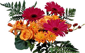 Images Bouquets Flowers