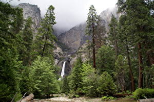 Fonds d'écran Parcs Chute d'eau États-Unis Yosemite Californie Lower Nature
