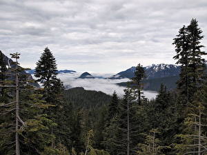Bakgrunnsbilder Parker USA Mount Rainier nasjonalpark Washington View from Paradise
