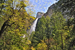 Fonds d'écran Parc Chute d'eau États-Unis Yosemite Californie Bridalveil Nature