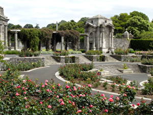 Papel de Parede Desktop Parques Dublin Irlanda Memorial Rose Garden Naturaleza