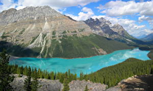 Papel de Parede Desktop Parque Montanha Canadá Banff Peyto Lake NP Naturaleza