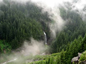 Fondos de escritorio Parques Estados Unidos Parque Monte Rainier Maple Falls