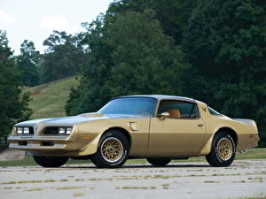 Tapety na pulpit Pontiac Firebird Trans Am Y-88 Gold Special Edition 1978