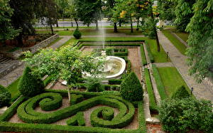 デスクトップの壁紙、、ガーデン、ヴロツワフ、ポーランド、Botanical Garden of Wroclaw University、自然
