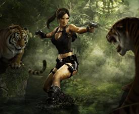 Bureaubladachtergronden Tomb Raider Tomb Raider Underworld Lara Croft videogames Jonge_vrouwen