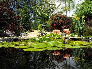 Bureaubladachtergronden Tuin Vijver Water Santa Barbara USA Natuur
