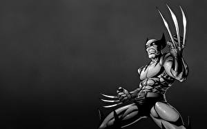 Papel de Parede Desktop Super-heróis Wolverine Herói