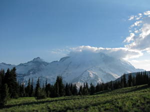 Bakgrunnsbilder Park Fjell USA Mount Rainier nasjonalpark Washington Natur