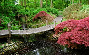 Bureaubladachtergronden Tuin Vijver Japanese Keukenhof Netherlands Natuur